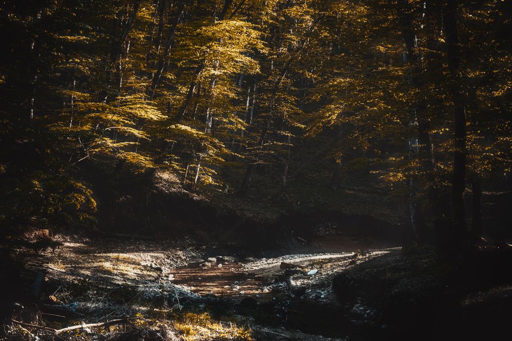 Photograph by Антон Порохня