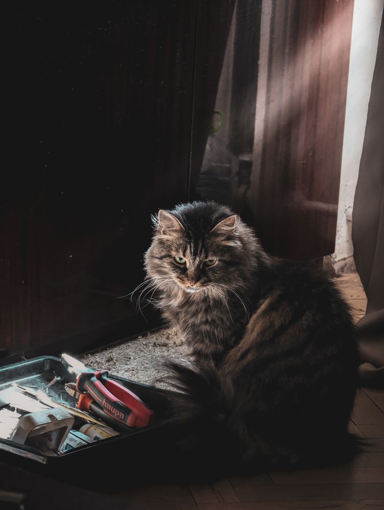 Photograph by Кабеев Сергей