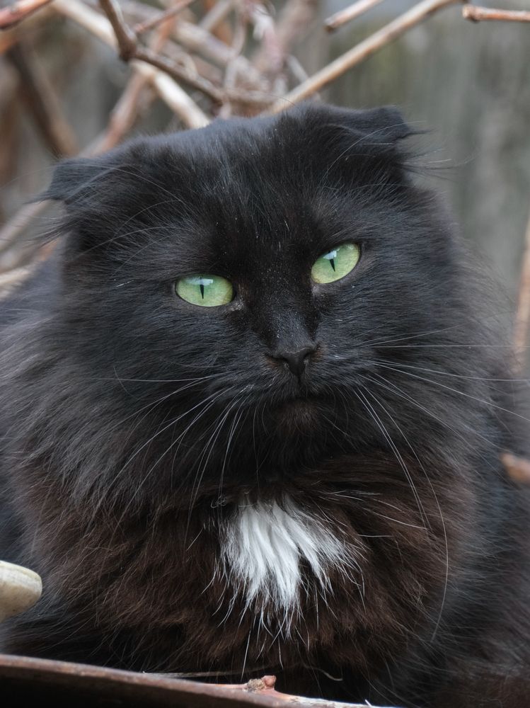 Photograph by Ирина Дегтярева