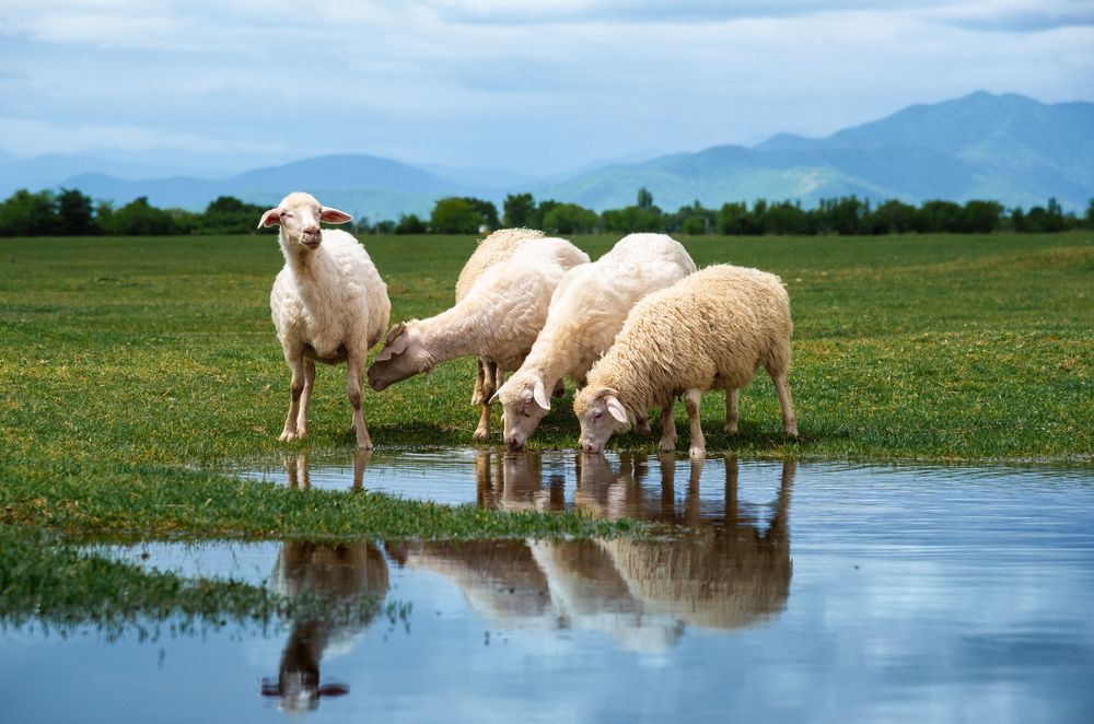 Photograph by Юрий Киреичев