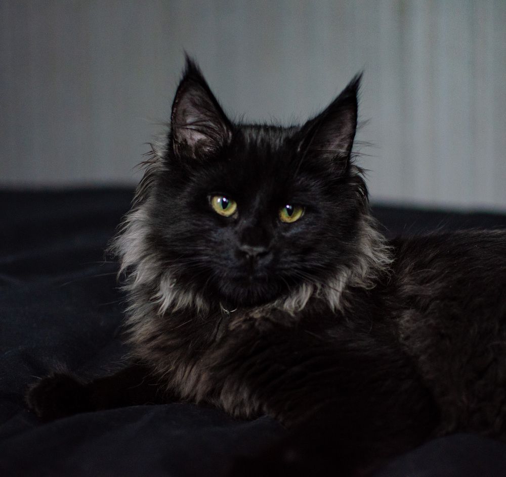 Photograph by Ганна Кліпіна