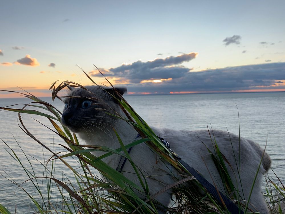 Фотография автора Наталья Пасечко
