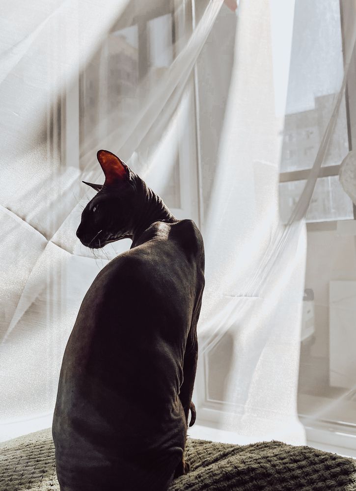 Фотография автора Евгения