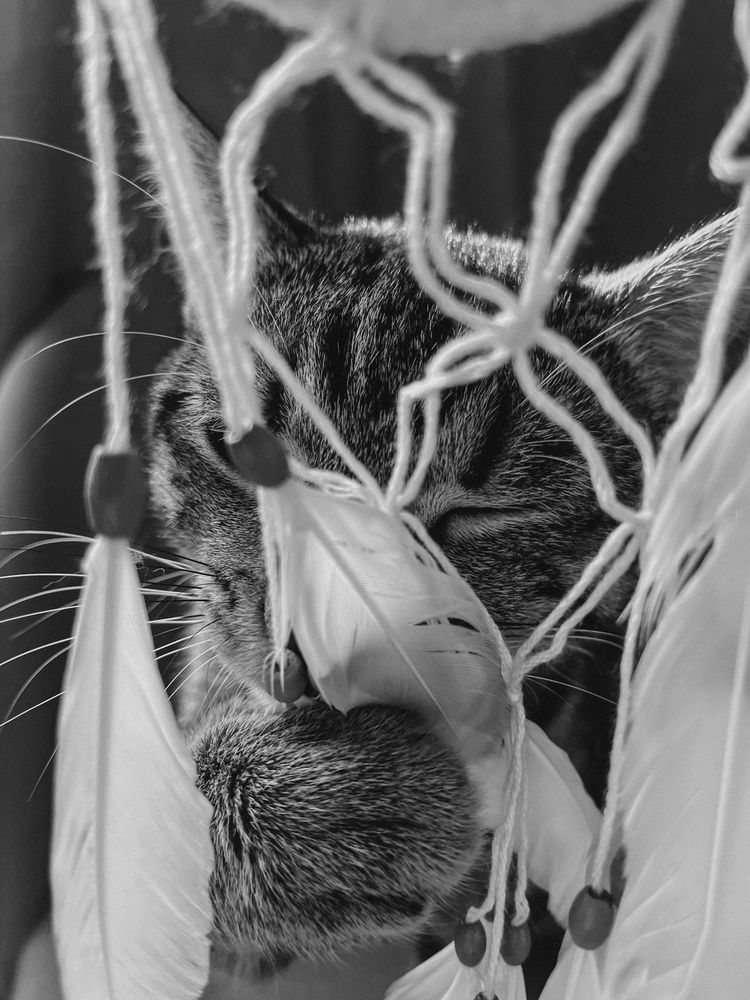 Фотография автора Евгения