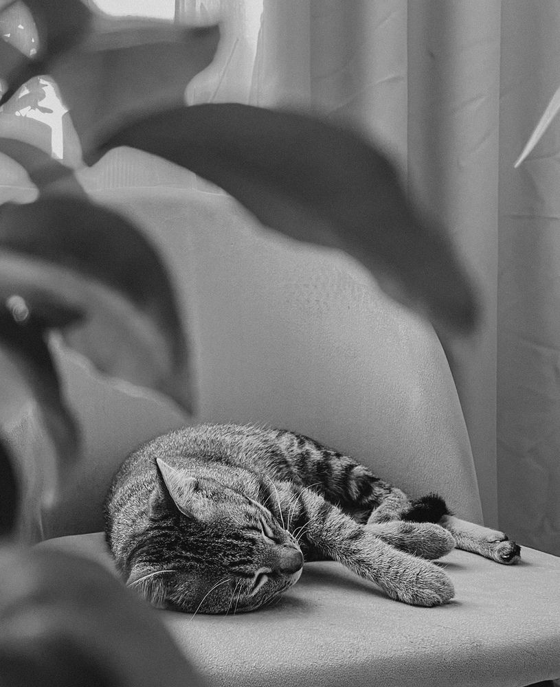 Фотография автора Евгения