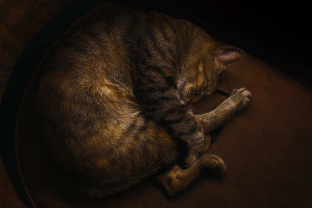 Photograph by Koussani Seif