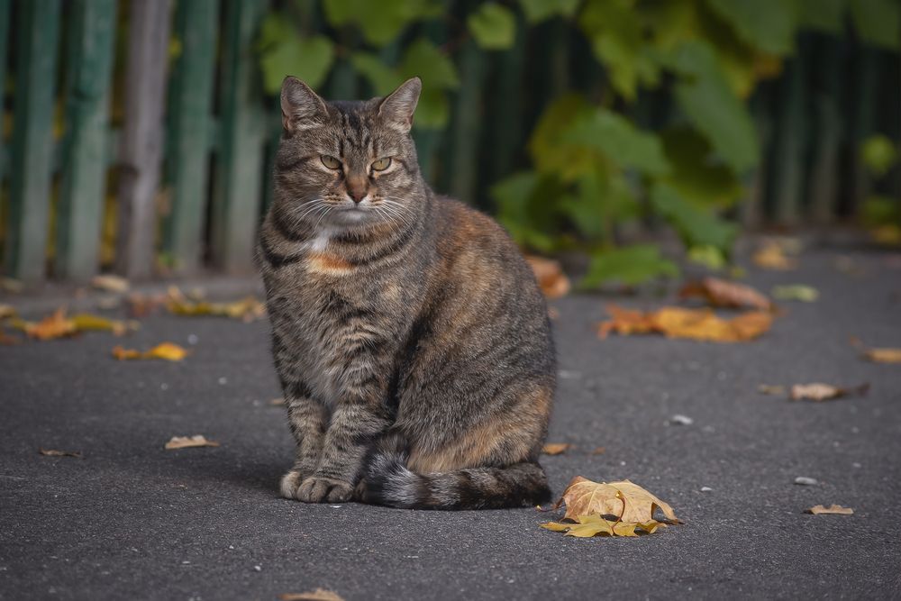 Осень на носу, однако!