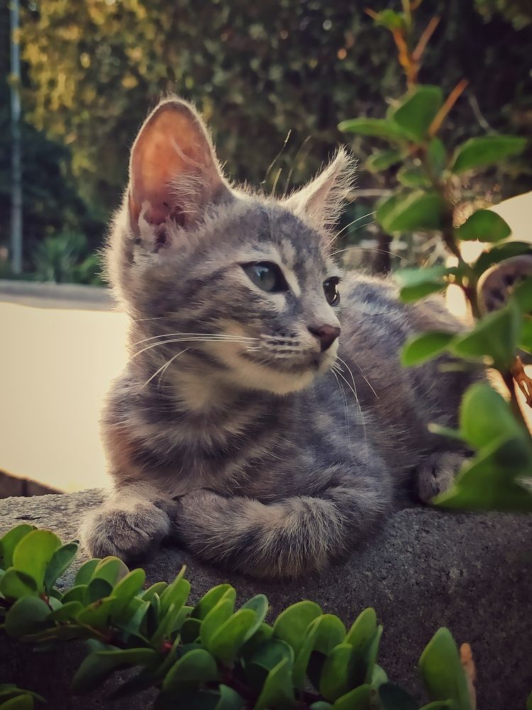 Фотография автора Вадим Кармазин