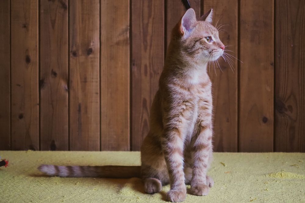 Photograph by Наталия Трофимова