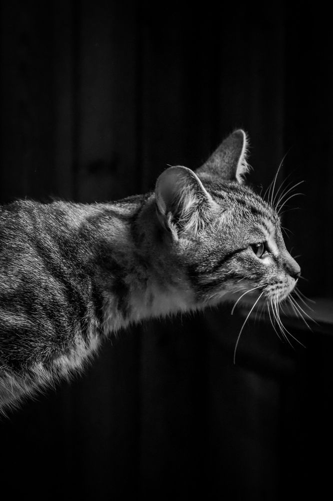 Photograph by Наталия Трофимова