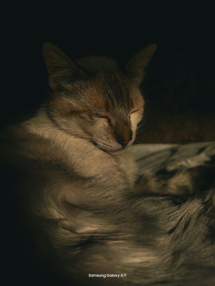 Photograph by Leonardo Rodriguez