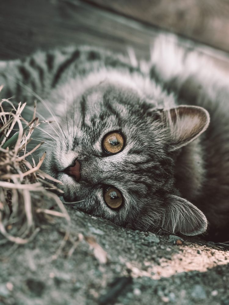 Photograph by Дарья Батюкова