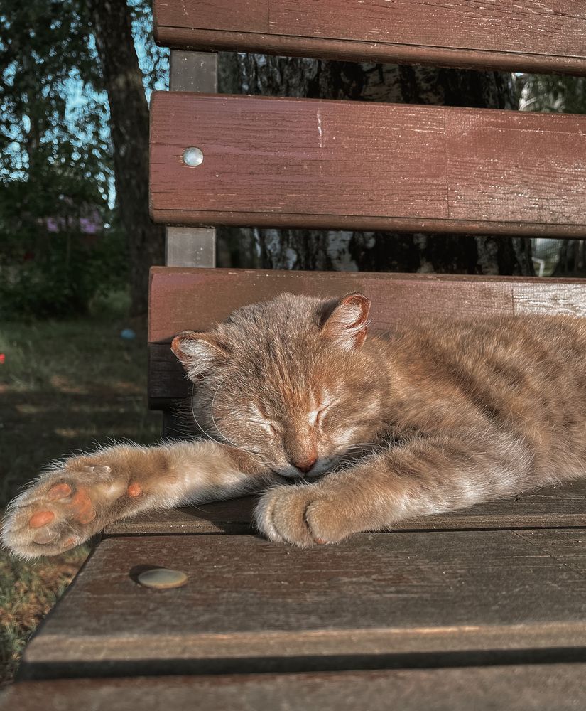 Photograph by Дарья Батюкова
