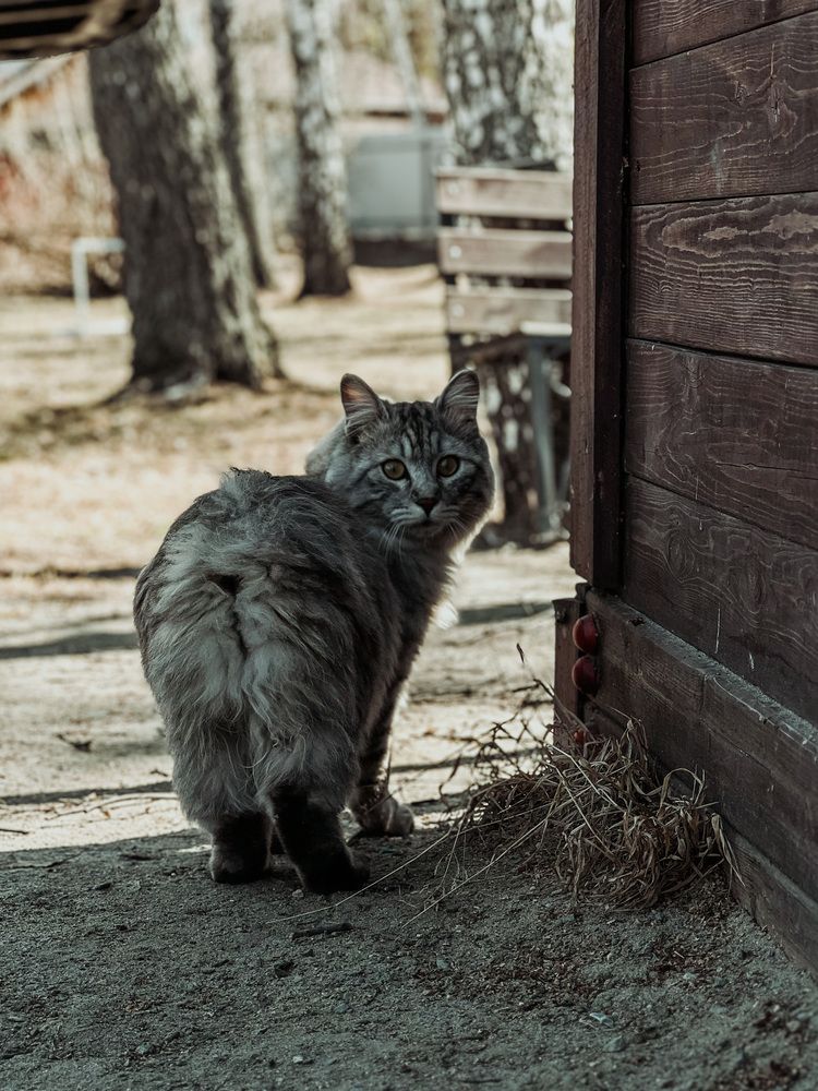 Photograph by Дарья Батюкова