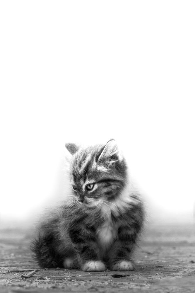 Photograph by Koussani Seif