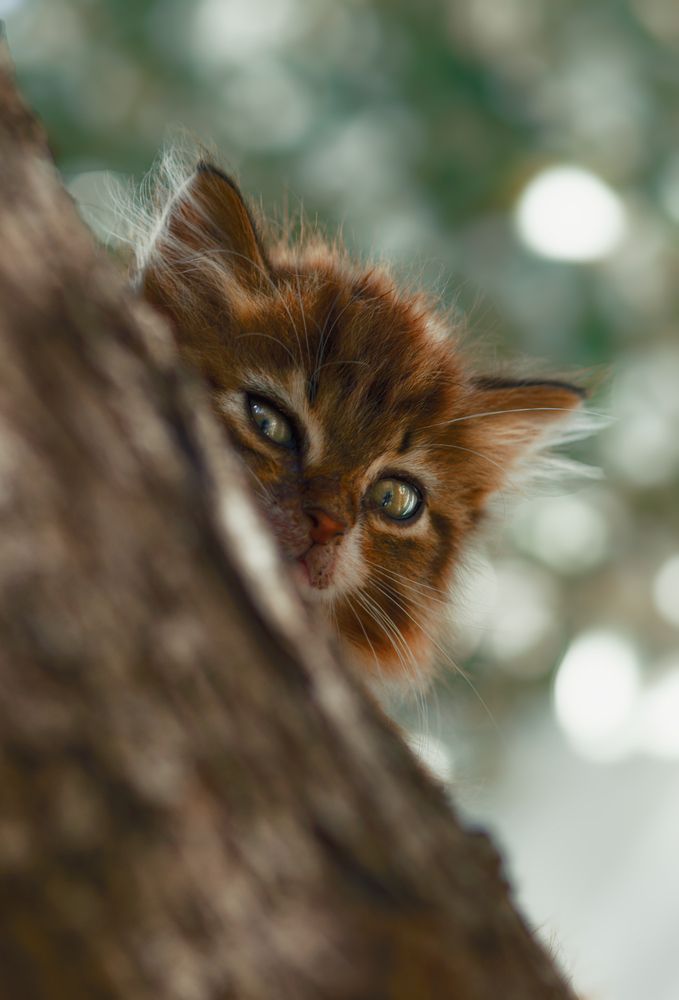 Photograph by Koussani Seif