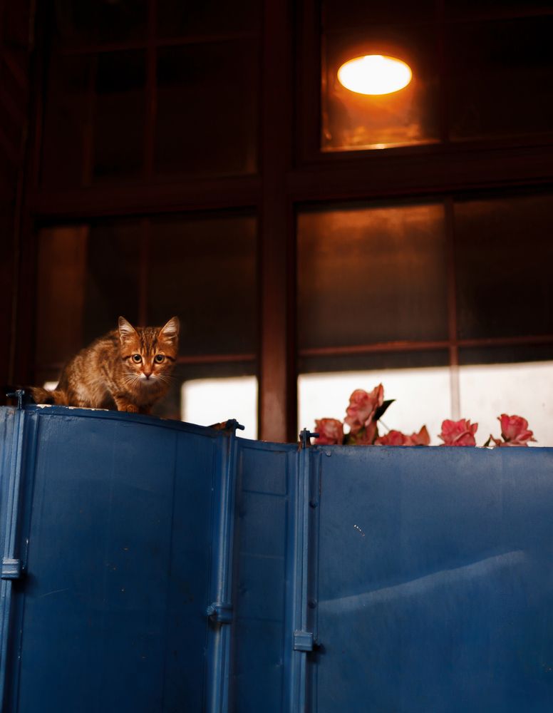 Photograph by Koussani Seif