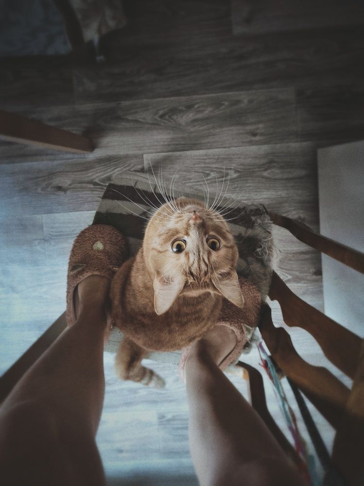 Фотография автора Екатерина Солодовник