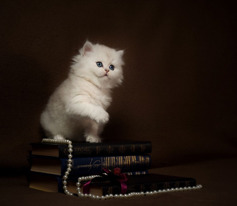 Photograph by Юрий Дыхлин