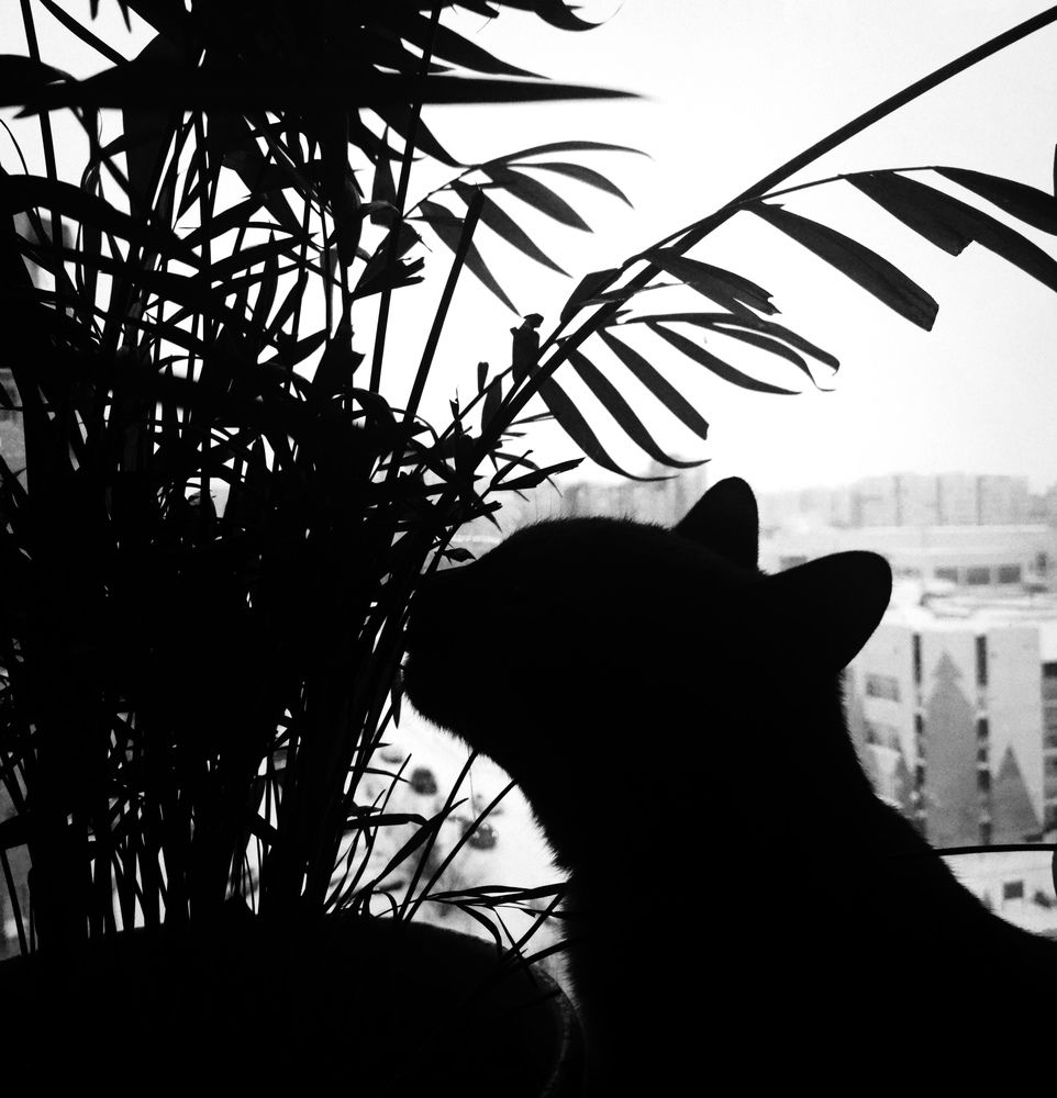 Photograph by Милена Константинова