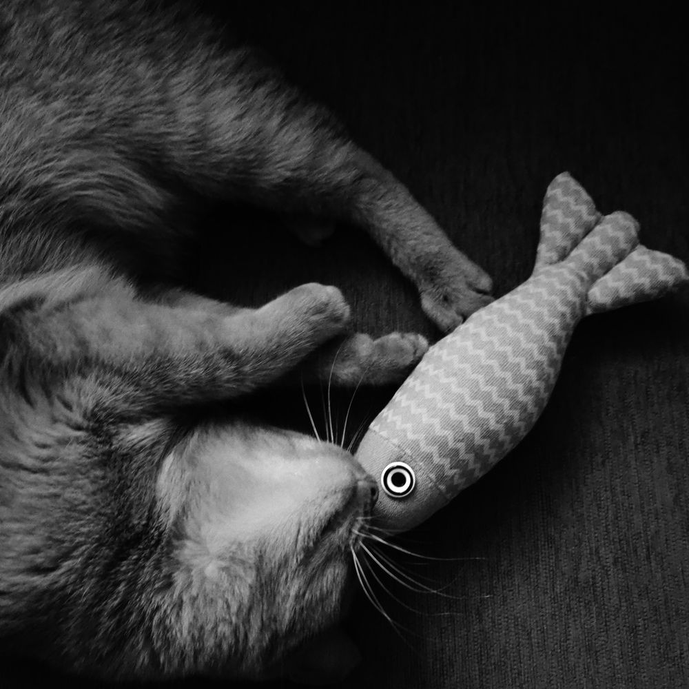 Photograph by Милена Константинова