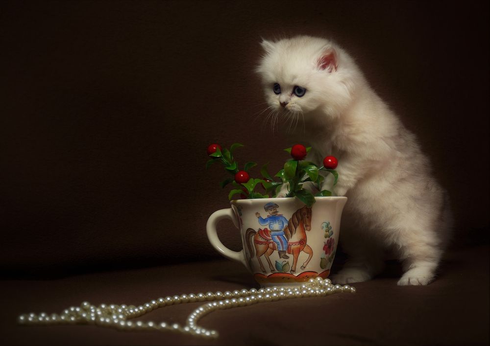 Photograph by Юрий Дыхлин