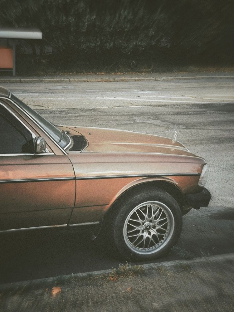 Фотография автора Екатерина Солодовник