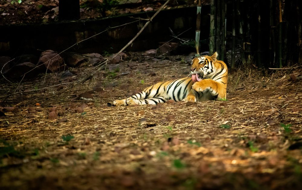 Фотография автора Aslin Neroth