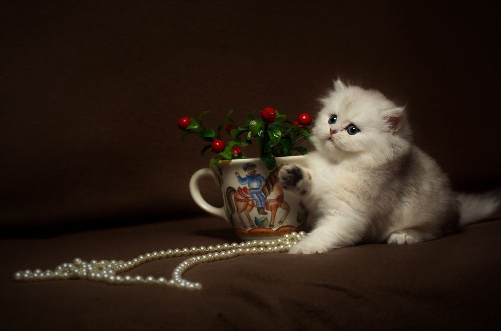 Photograph by Юрий Дыхлин