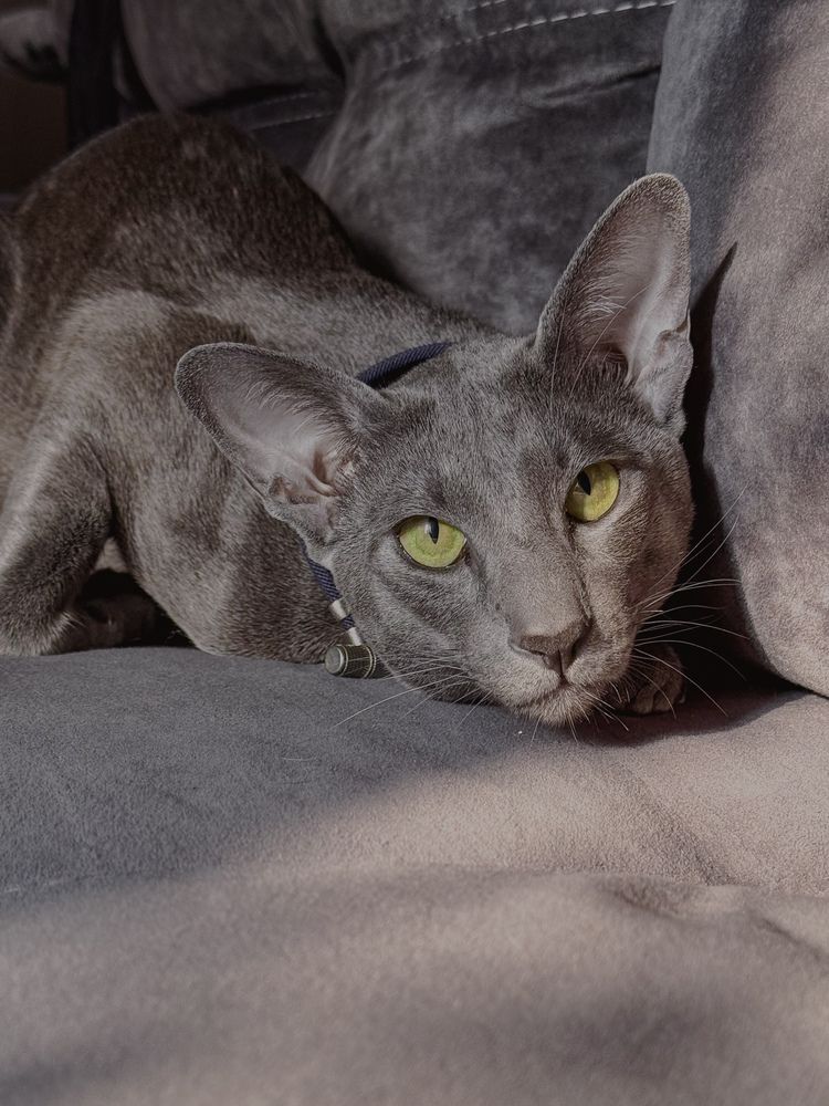 Photograph by Соколова Виктория