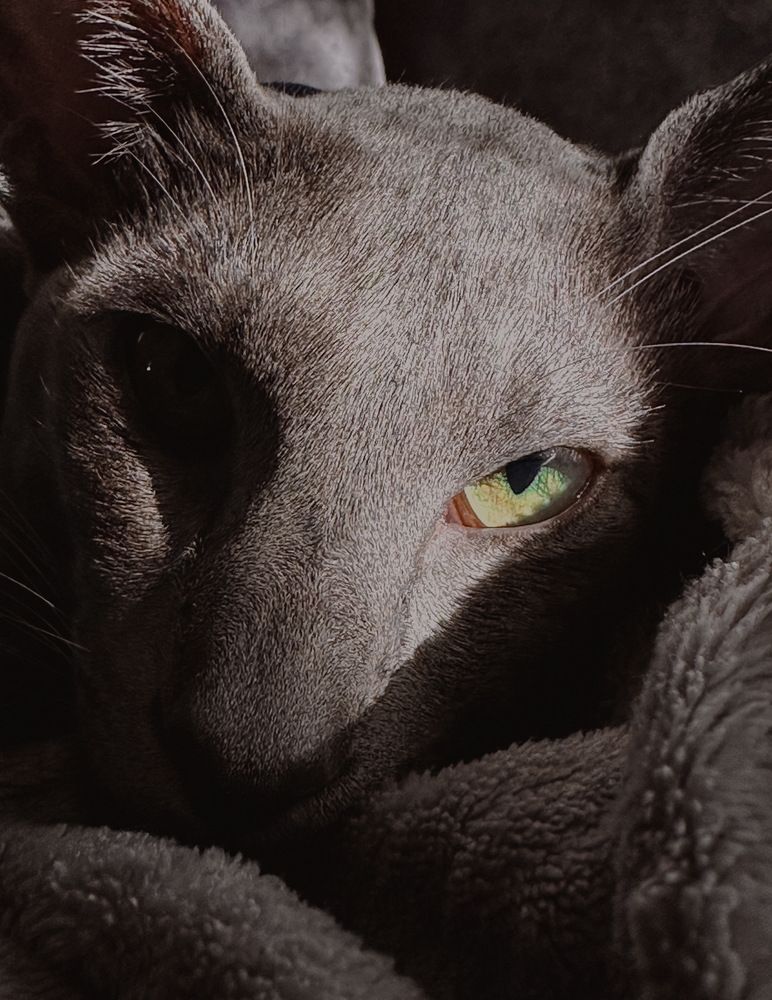 Photograph by Соколова Виктория