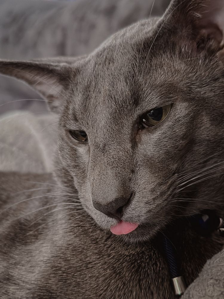 Photograph by Соколова Виктория