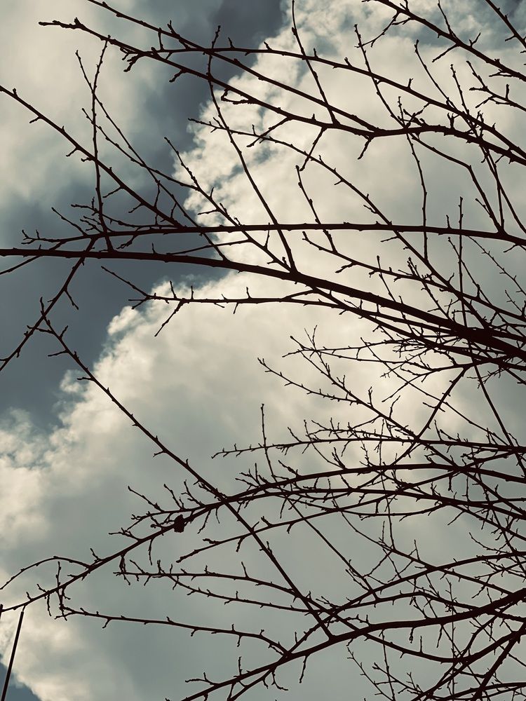Photograph by Lu Lu