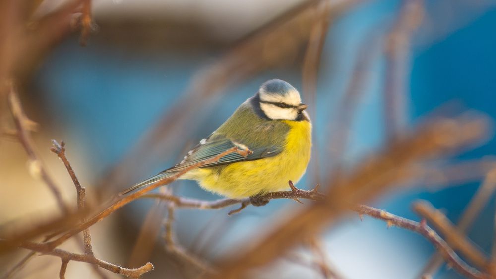 Photograph by Оликов Владимир