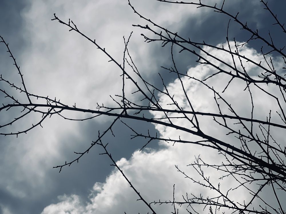 Photograph by Lu Lu