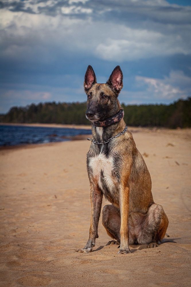 Photograph by Александра Чеканова