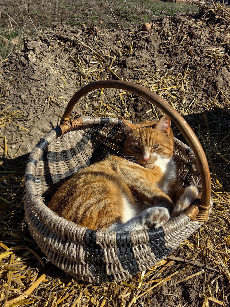 Фотография автора Ольга Панасюк