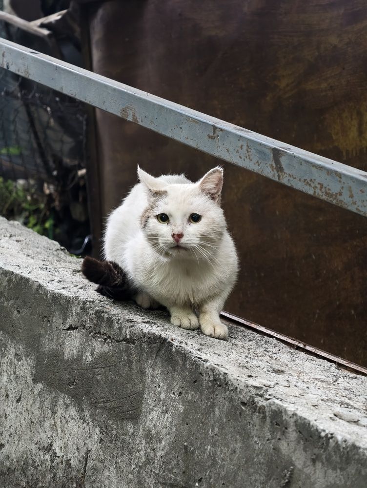 Фотография автора robot