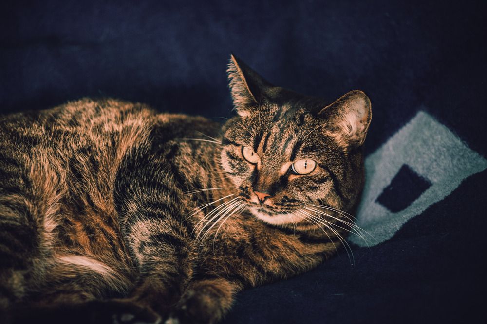 Фотография автора Червяков Григорий