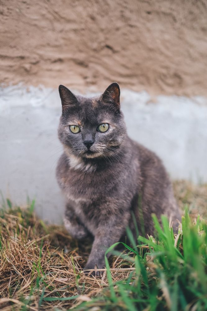 Photograph by Екатерина Бердутина