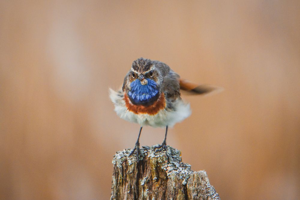 Photograph by Юлия Фомина