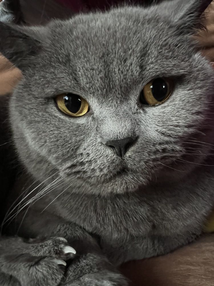 Photograph by Eugenia Schmidt