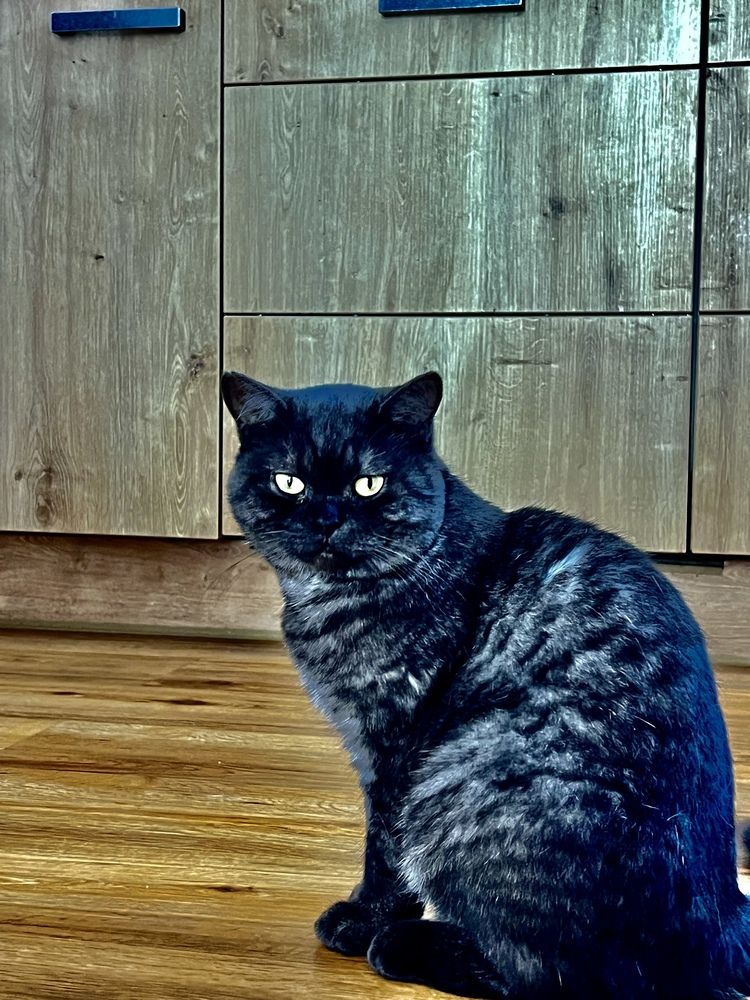 Photograph by Eugenia Schmidt