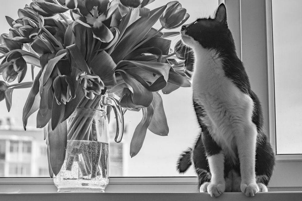 Фотография автора Alexander Tretyakov