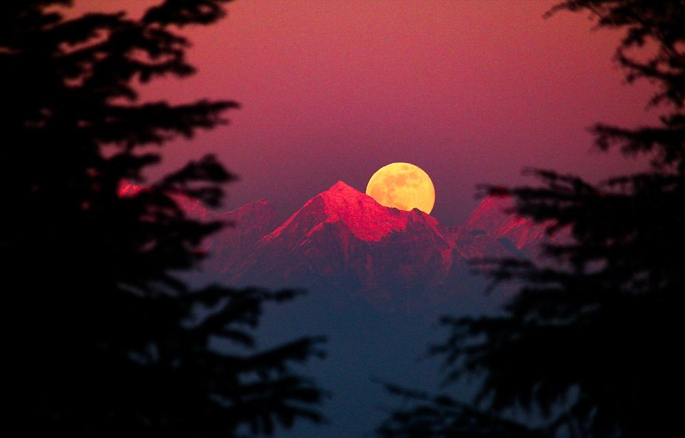 Photograph by Shudhanshu Kannojia