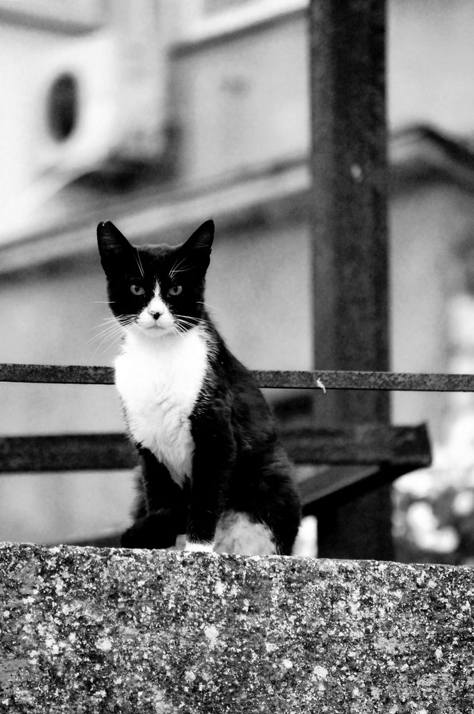 Photograph by Екатерина Иванова