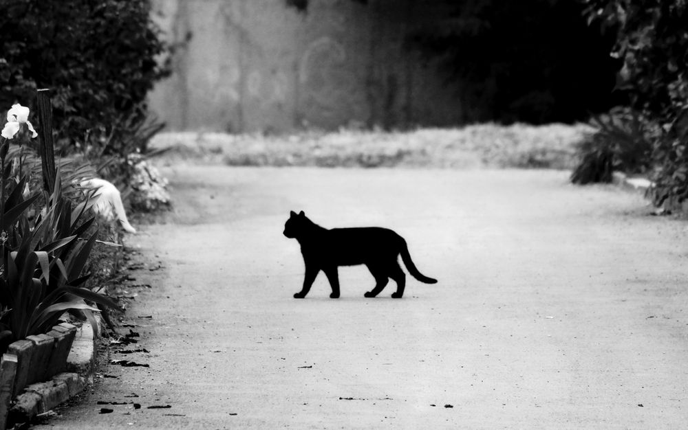 Photograph by Екатерина Иванова