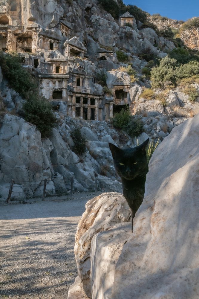 Photograph by Владимир