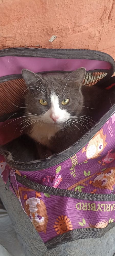 Photograph by Иван Левин