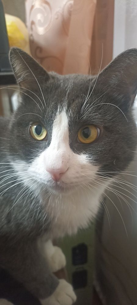 Photograph by Иван Левин